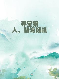 寻宝猎人，碧海扬帆