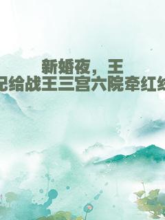 新婚夜，王妃给战王三宫六院牵红线
