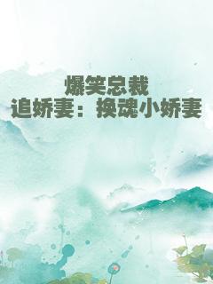 爆笑总裁追娇妻：换魂小娇妻