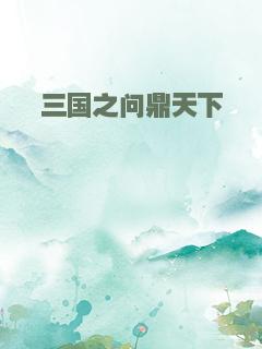 三国之问鼎天下