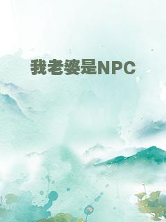 我老婆是NPC
