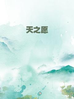 天之愿