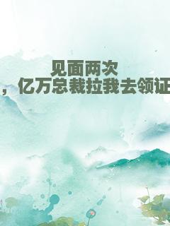 见面两次，亿万总裁拉我去领证