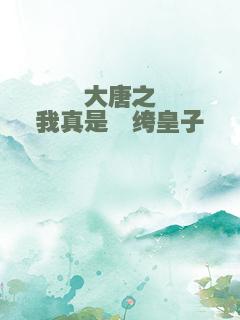 大唐之我真是纨绔皇子