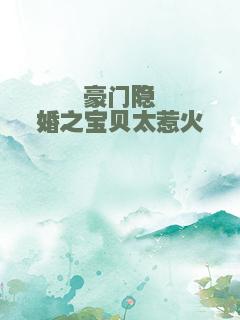 豪门隐婚之宝贝太惹火