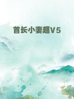 首长小妻超V5