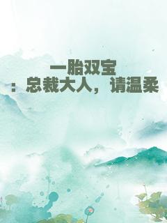 一胎双宝：总裁大人，请温柔