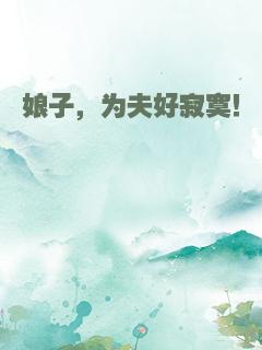 娘子，为夫好寂寞！