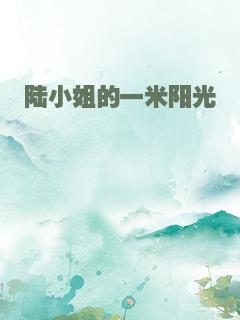陆小姐的一米阳光