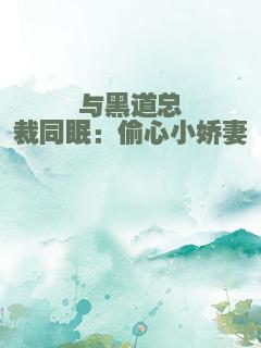 与黑道总裁同眠：偷心小娇妻