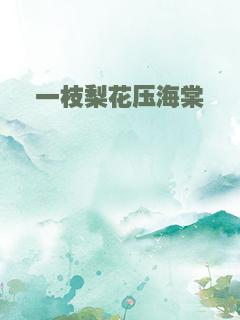 一枝梨花压海棠