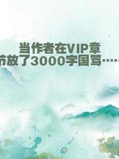 当作者在VIP章节放了3000字国骂……