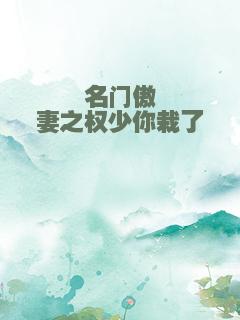 名门傲妻之权少你栽了