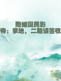 隐婚国民影帝：爹地，二胎请签收