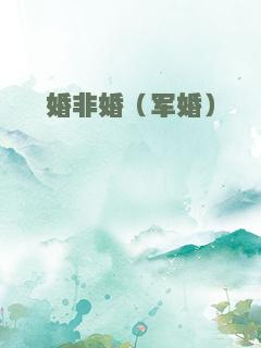 婚非婚（军婚）