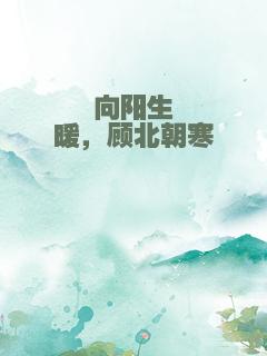 向阳生暖，顾北朝寒