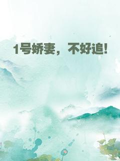 1号娇妻，不好追！