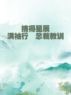 摘得星辰满袖行―总裁教训