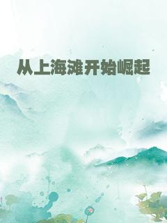 从上海滩开始崛起