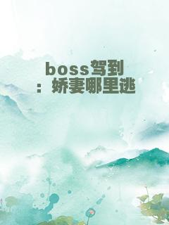 boss驾到：娇妻哪里逃