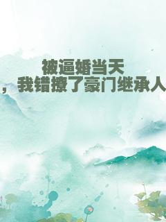 被逼婚当天，我错撩了豪门继承人