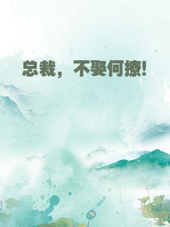 总裁，不娶何撩！