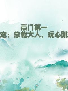 豪门第一宠：总裁大人，玩心跳