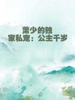 萧少的独家私宠：公主千岁