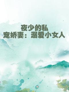 夜少的私宠娇妻：溺爱小女人