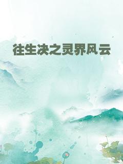 往生决之灵界风云