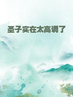 圣子实在太高调了