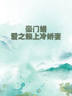 豪门婚爱之赖上冷娇妻