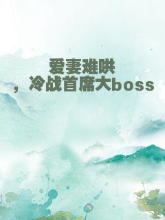 爱妻难哄，冷战首席大boss