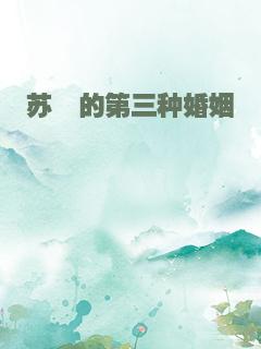 苏荨的第三种婚姻