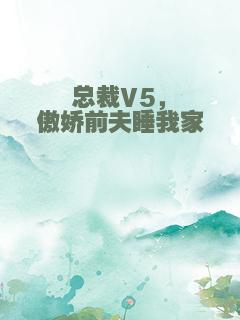 总裁V5，傲娇前夫睡我家