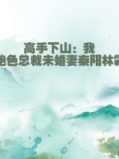 高手下山：我的绝色总裁未婚妻秦阳林霜舞