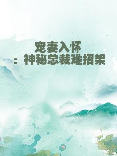 宠妻入怀：神秘总裁难招架