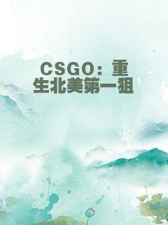 CSGO：重生北美第一狙