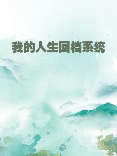 我的人生回档系统