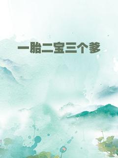 一胎二宝三个爹