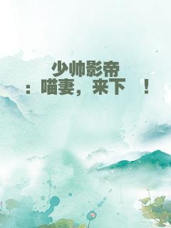 少帅影帝：喵妻，来下崽！