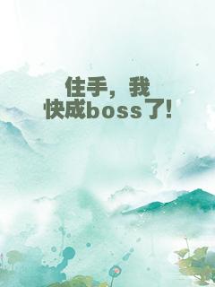住手，我快成boss了！