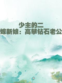 少主的二嫁新娘：高攀钻石老公