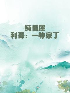 纯情犀利哥：一等家丁