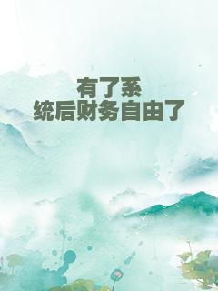有了系统后财务自由了