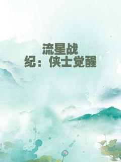 流星战纪：侠士觉醒