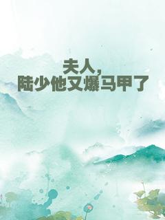 夫人，陆少他又爆马甲了