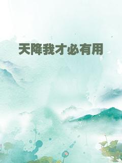 天降我才必有用