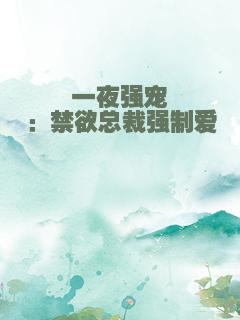 一夜强宠：禁欲总裁强制爱