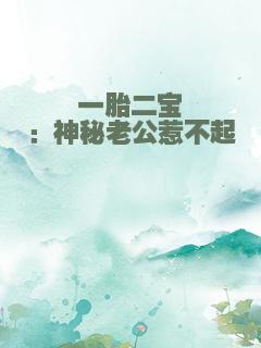一胎二宝：神秘老公惹不起